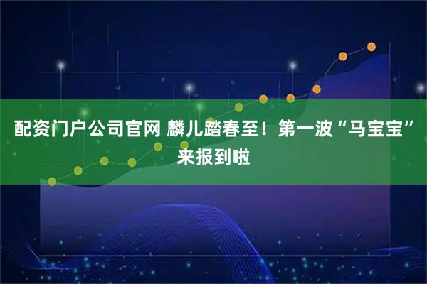 配资门户公司官网 麟儿踏春至！第一波“马宝宝”来报到啦
